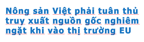 Nông sản Việt phải tuân thủ truy xuất nguồn gốc nghiêm ngặt khi vào thị trường EU